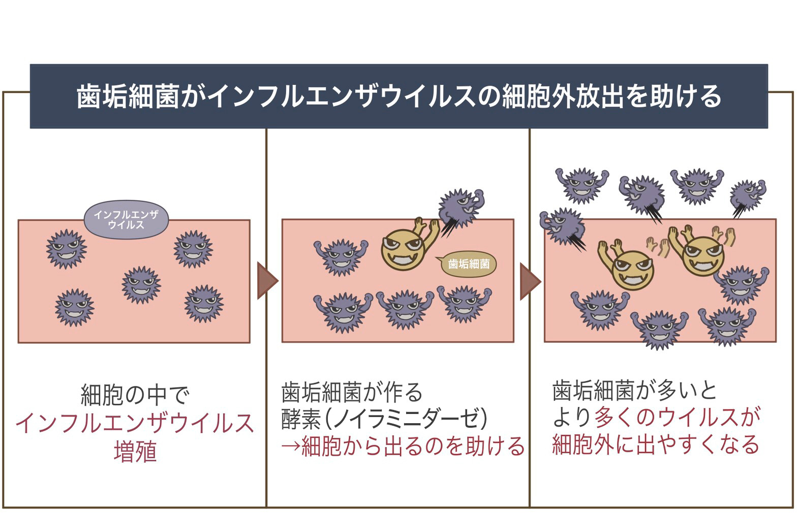 Amazon.co.jp: これからの口腔感染症 : 北野繁雄, 山本美朗: 本